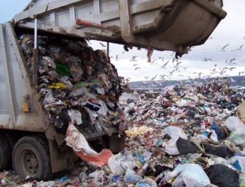 Life After Fresh Kills: Moving Beyond New York City’s Current Waste Management Plan