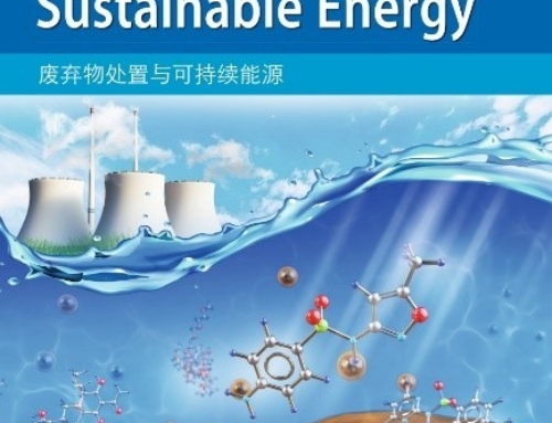 Fly ash and zero-valent iron-based in situ advanced anaerobic digestion with emphasis on the removal of antibiotics and antibiotic resistance genes from sewage sludge