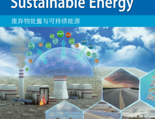 Low-carbon stabilization/solidification of municipal solid waste incineration fly ash