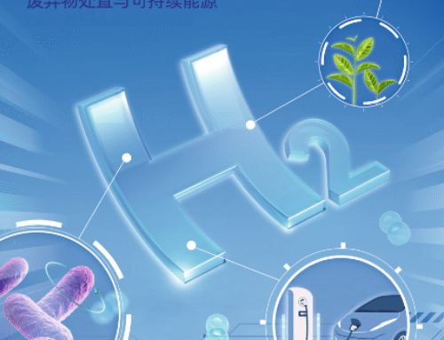 Biohydrogen production and its bioeconomic impact: a review