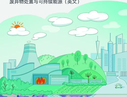 Energy and materials recovery from post-recycling wastes: WTE